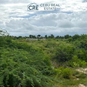 Lot for Sale in the Island of Mactan Cebu (2)