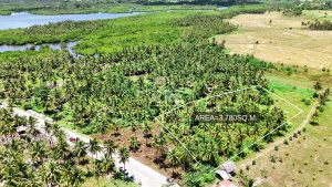 GENERAL-LUNA-SIARGAO-PROPERTY-4-scaled