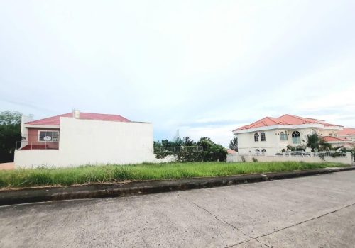 FSRL110(1)