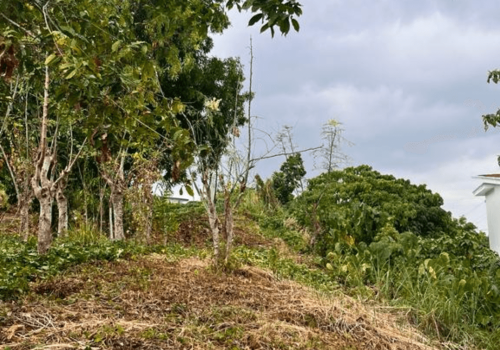 PACIFIC HEIGHTS LOT FOR SALE (1)